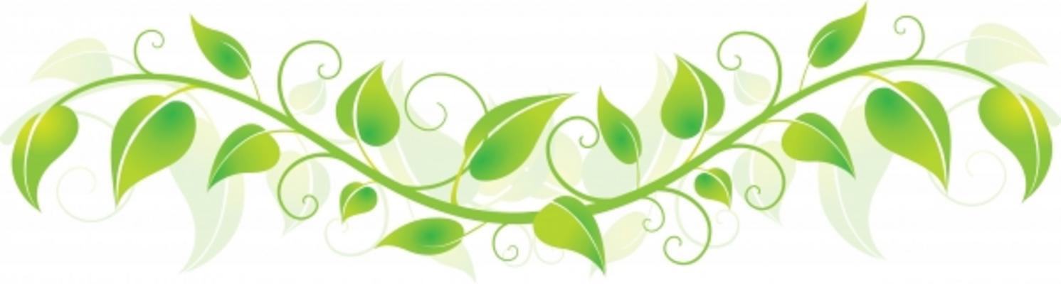 ivy clipart horizontal