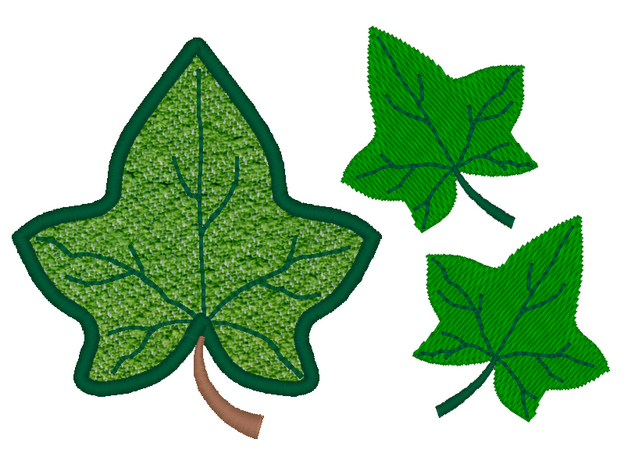 ivy clipart ivy leaves