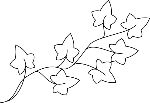 ivy clipart outline