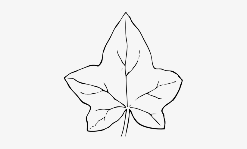 Ivy clipart pumpkin vine. Pin 