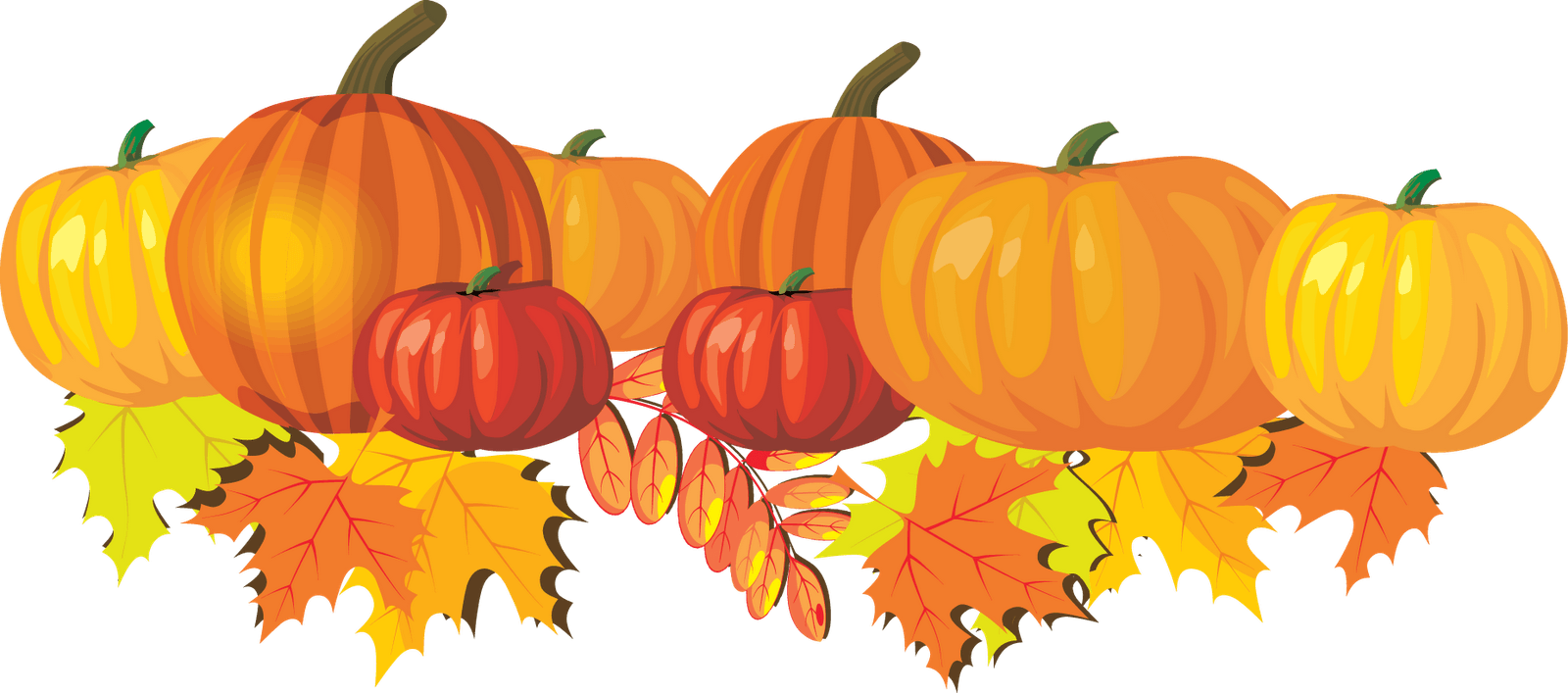 Banner cliparts zone leaves. Ivy clipart pumpkin vine