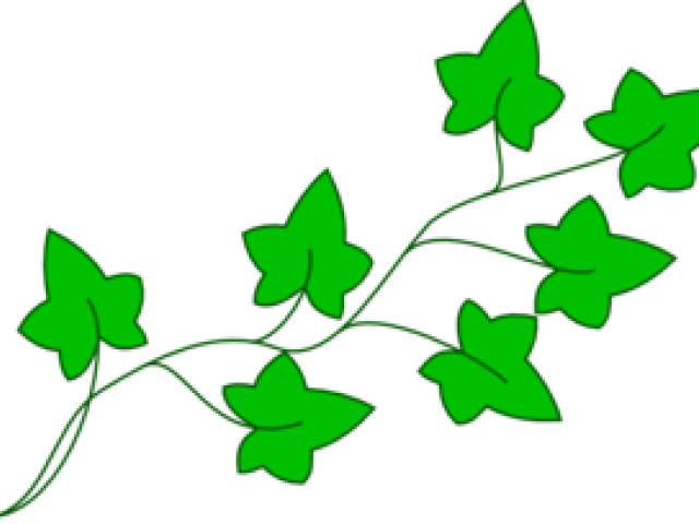 Cartoon poison plant . Ivy clipart pumpkin vine