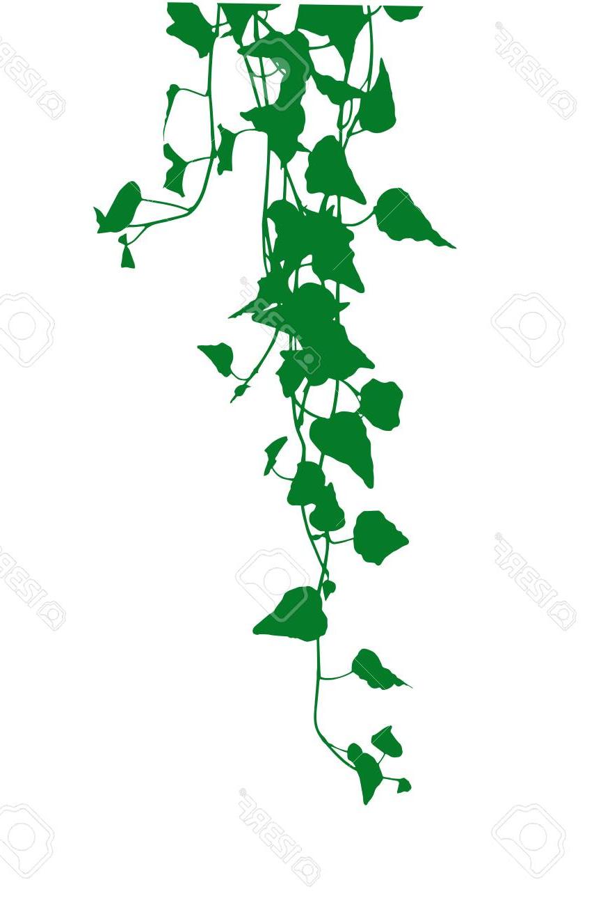 ivy clipart silhouette