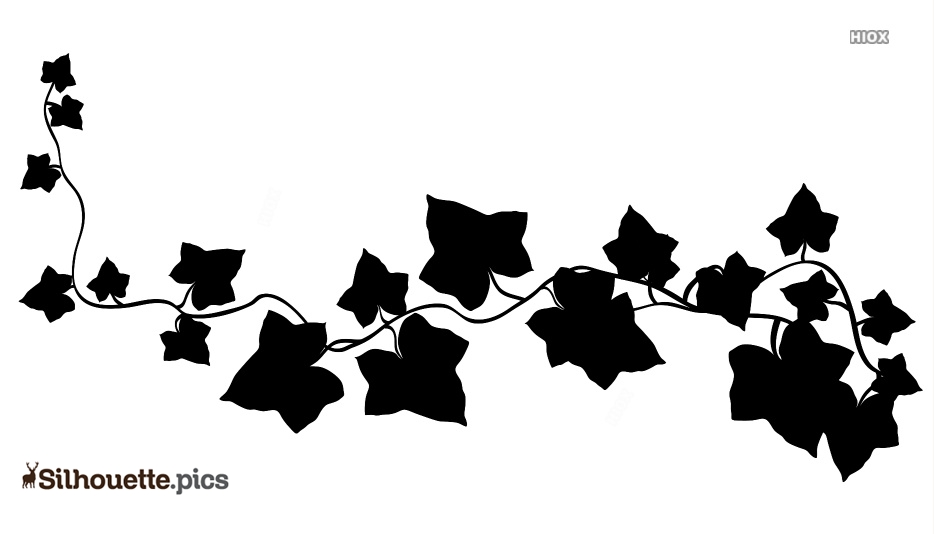 ivy clipart silhouette