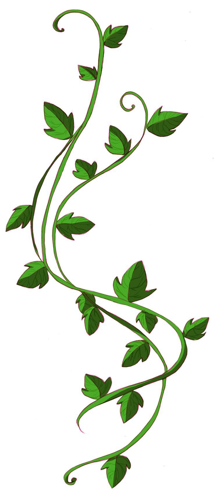 Ivy clipart simple. Leaf vine clip art