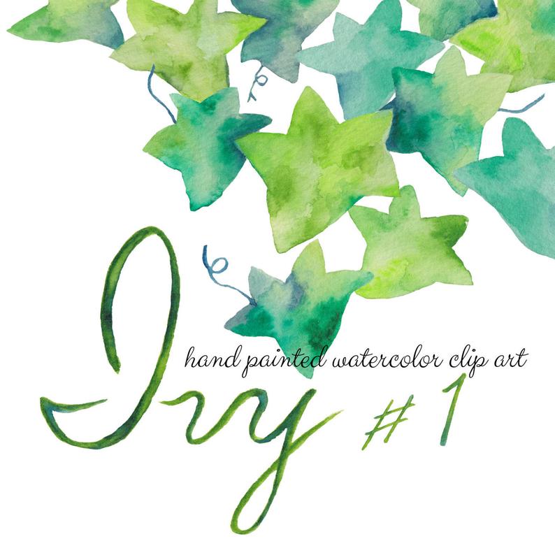 ivy clipart watercolor