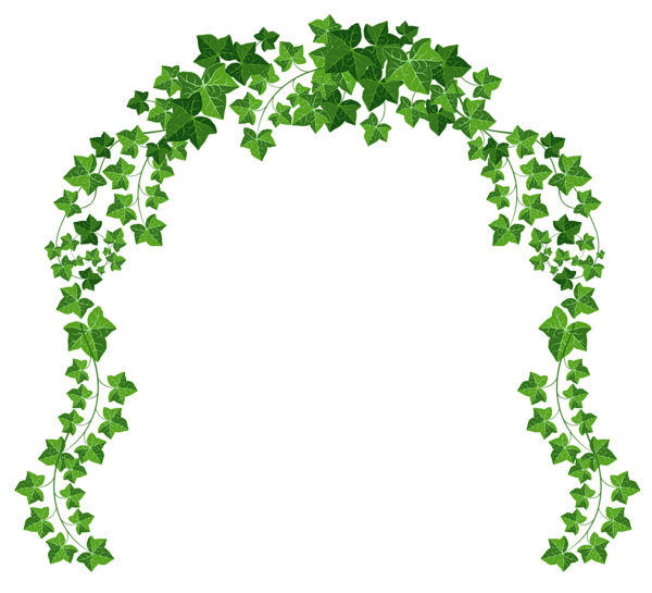 peony clipart floral arch