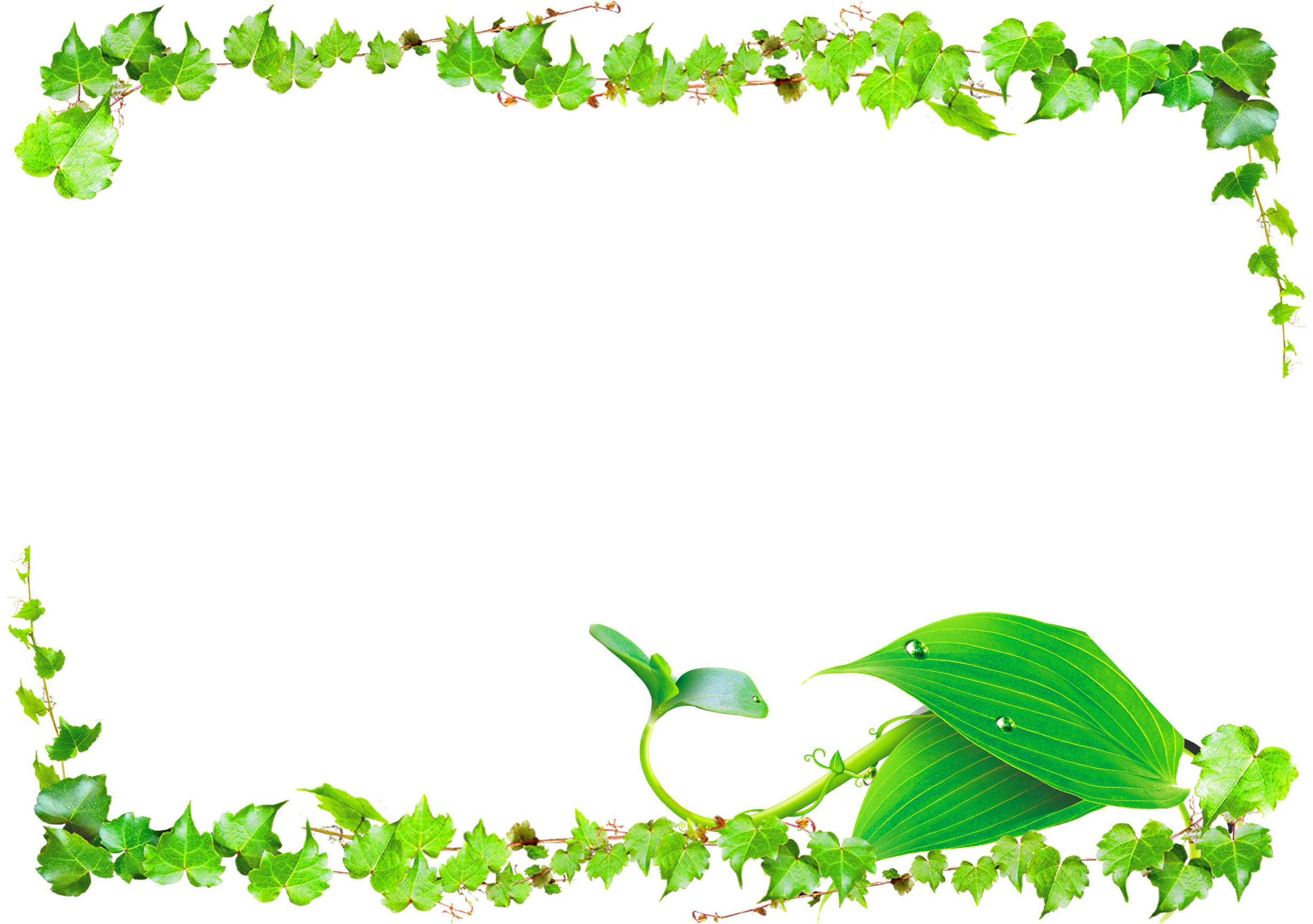 View Transparent Background Leaf Circle Border Png Pictures