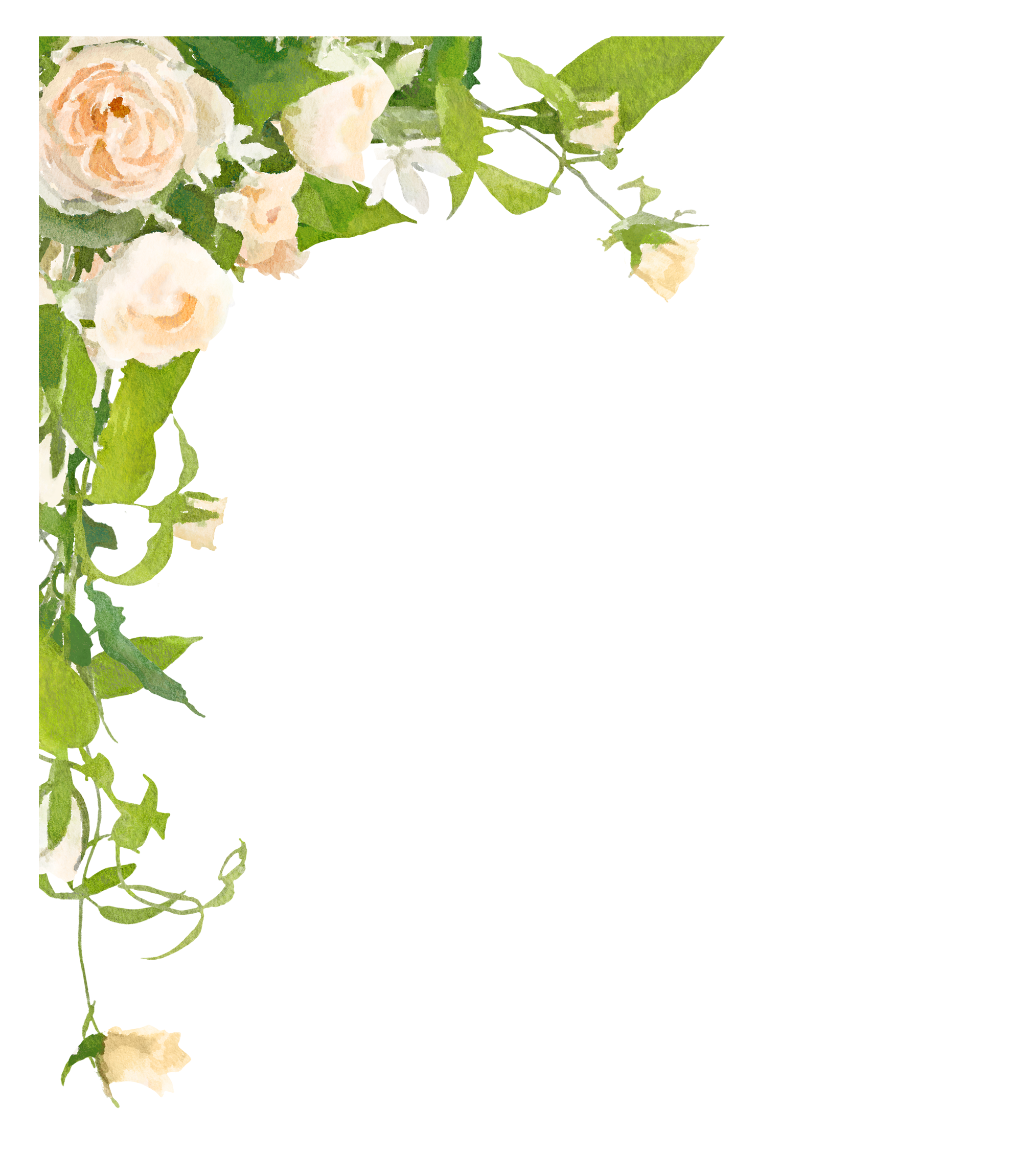 Design printabell borders pinterest. Ivy clipart wedding