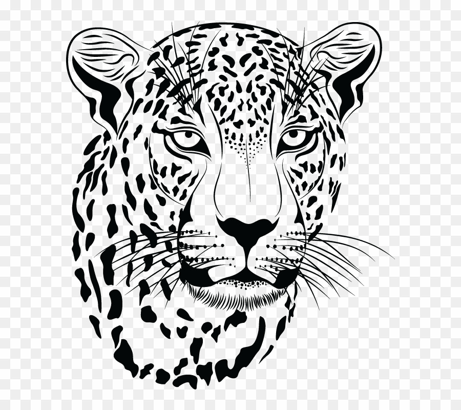 jaguar clipart angry