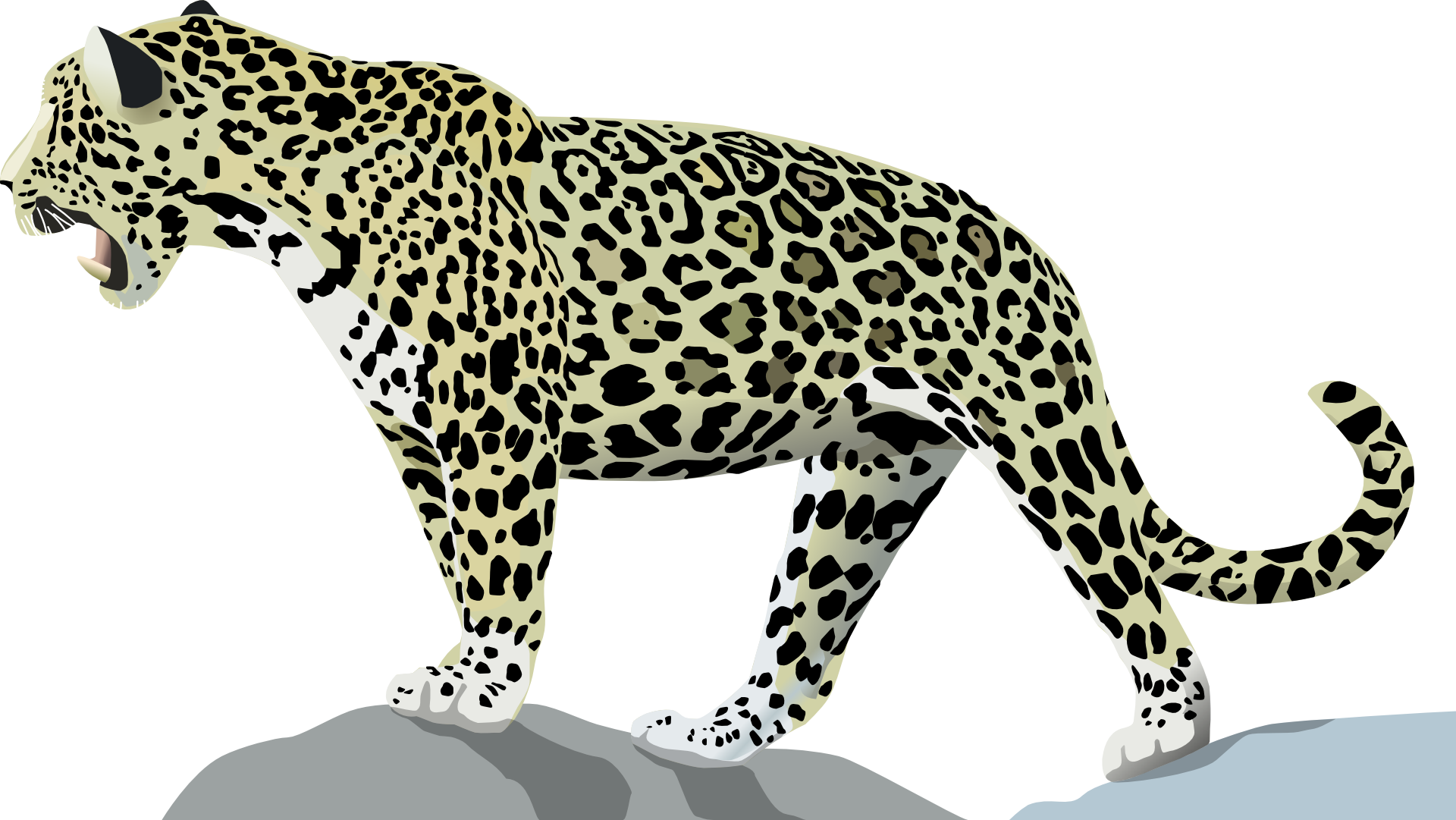 jaguar clipart animal character
