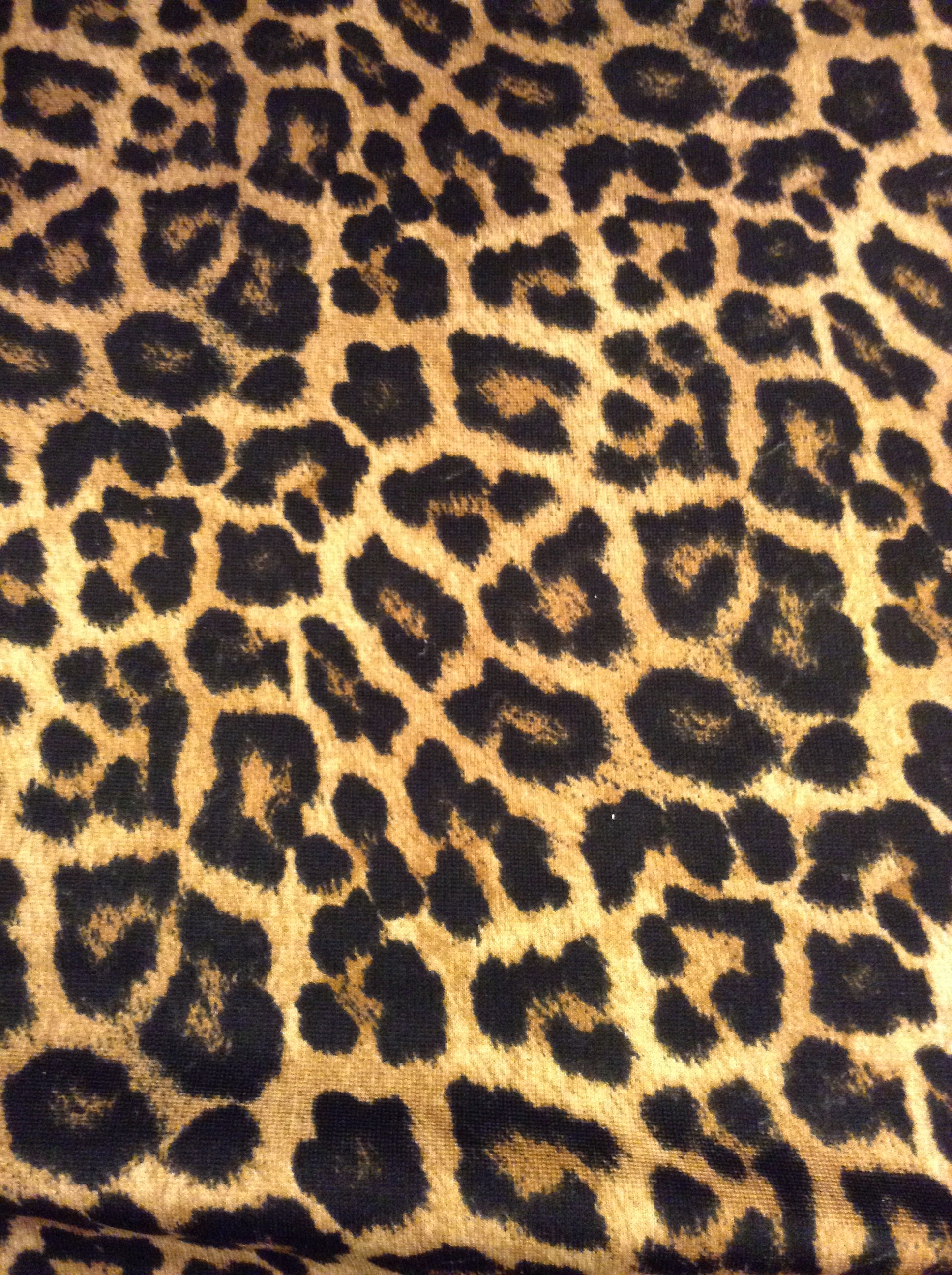 jaguar clipart animal print bow