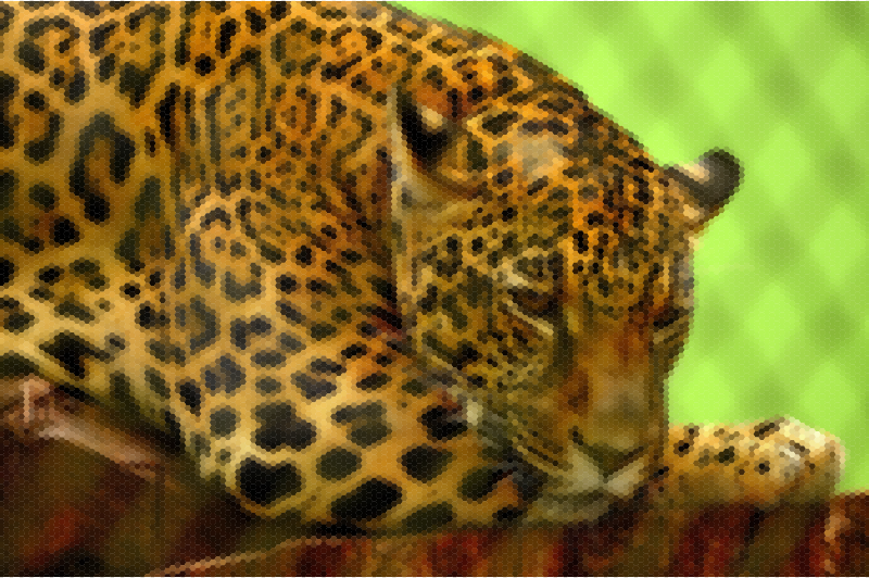 jaguar clipart big cat