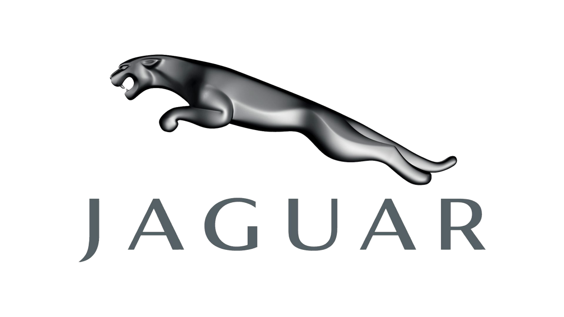 jaguar clipart carnivore