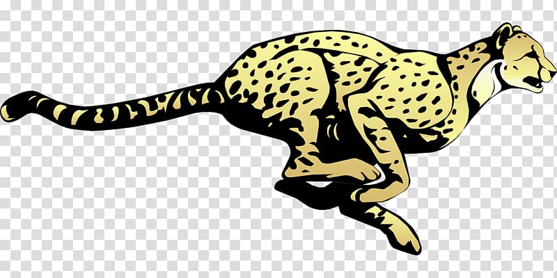 jaguar clipart cheetah run