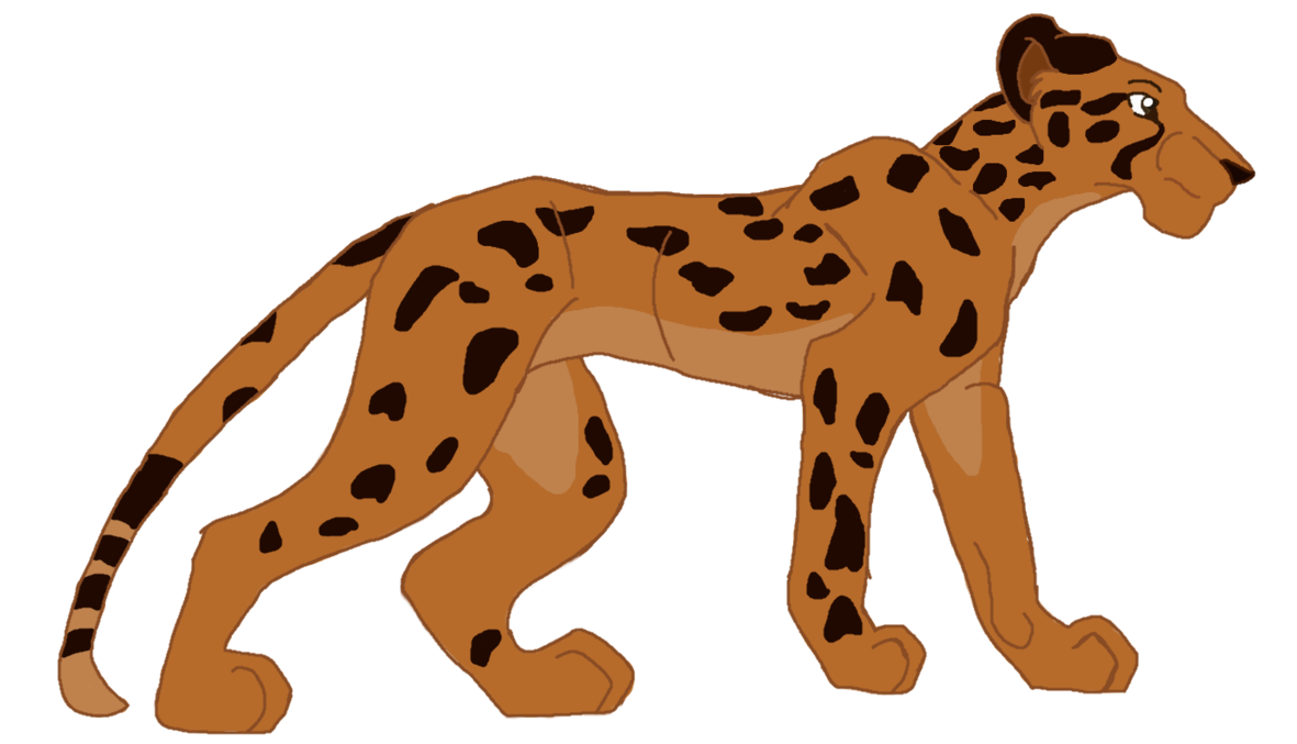 Leopard clipart chita. Cheetah cub at getdrawings