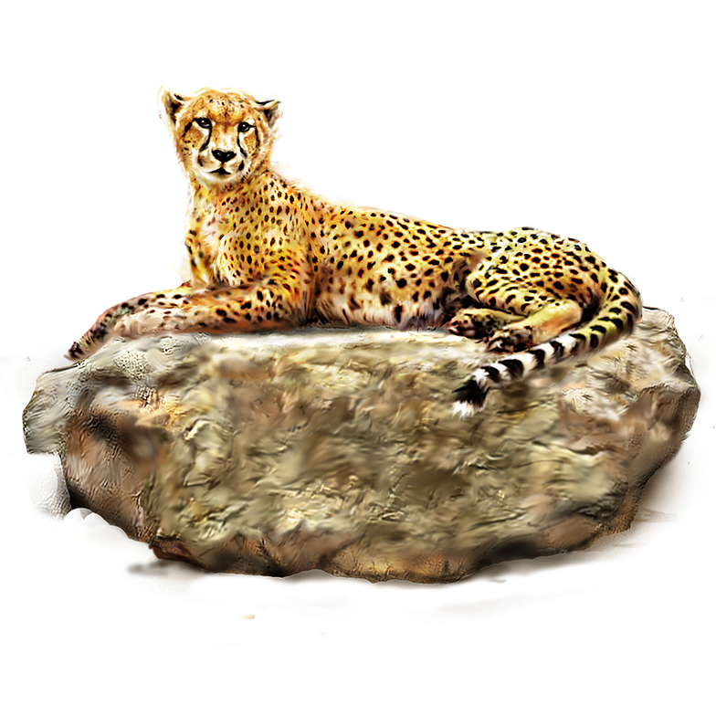 jaguar clipart chita