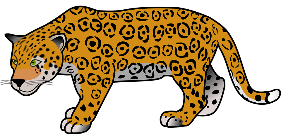 leopard clipart baby leopard