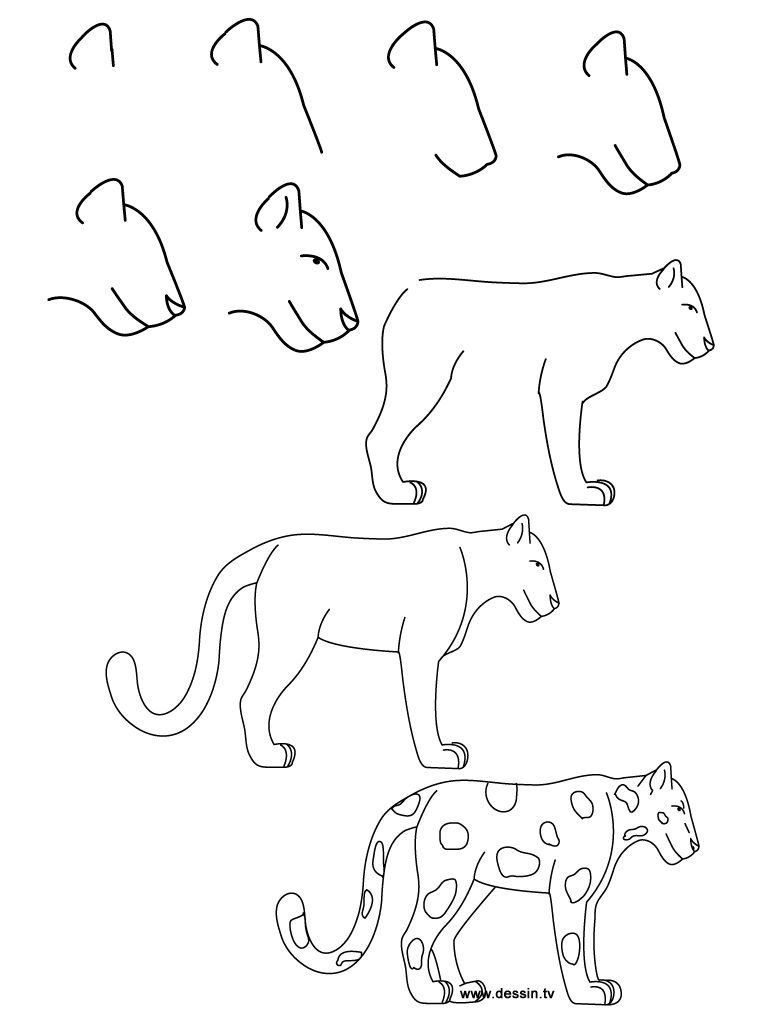 jaguar clipart easy draw