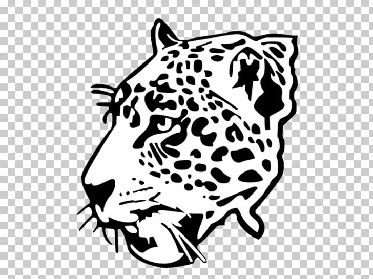 jaguar clipart high school