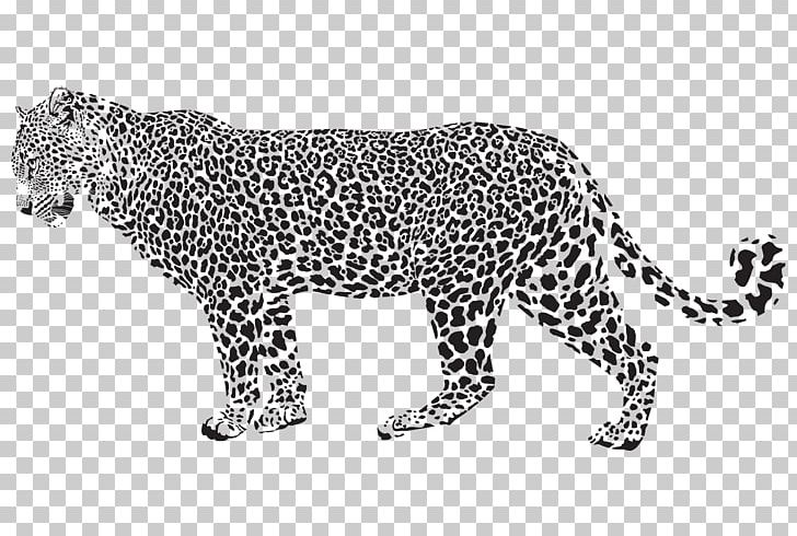 jaguar clipart leopard spot