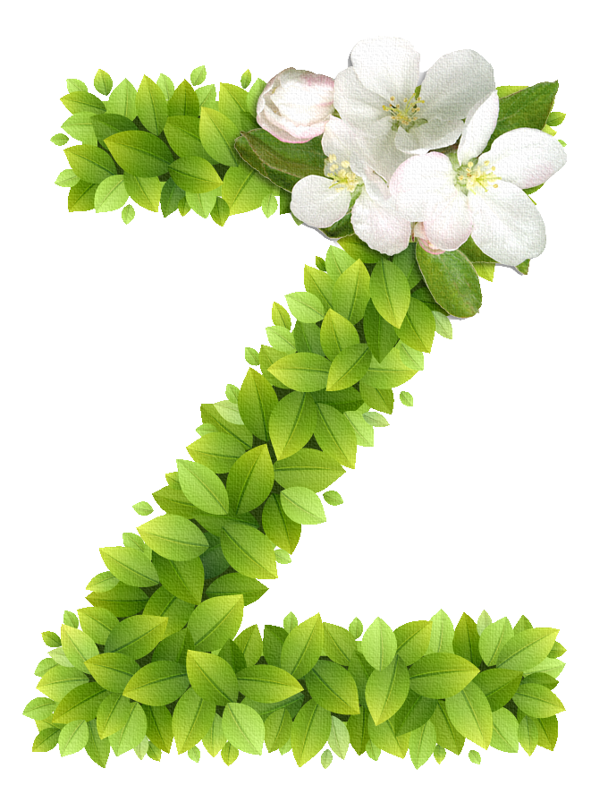 Ch b abc hojas. Jaguar clipart lettering