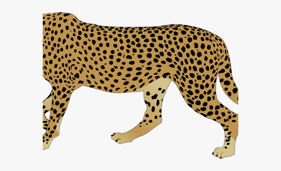 jaguar clipart mammal animal