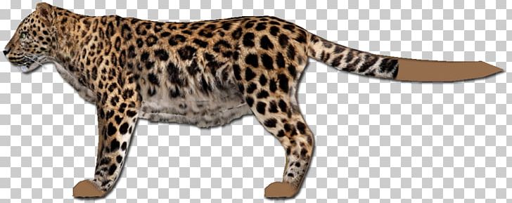 jaguar clipart ocelot