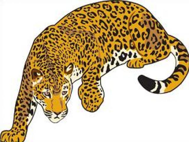 jaguar clipart realistic cartoon