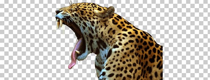 jaguar clipart roaring