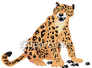 jaguar clipart roaring