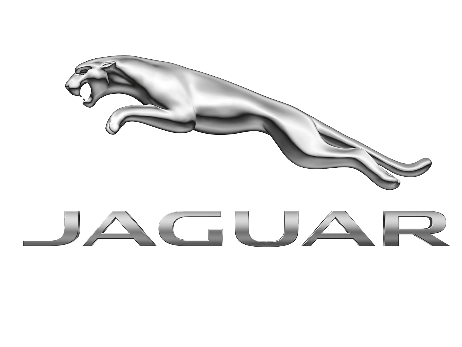 jaguar clipart school