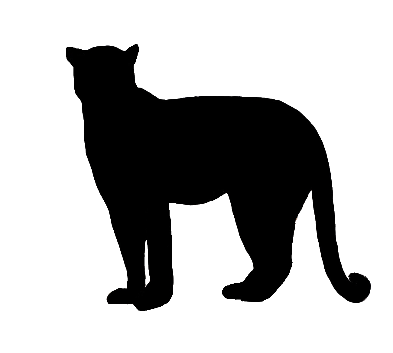 Panther profile