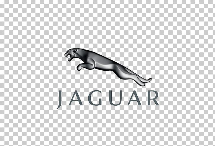 jaguar clipart tata
