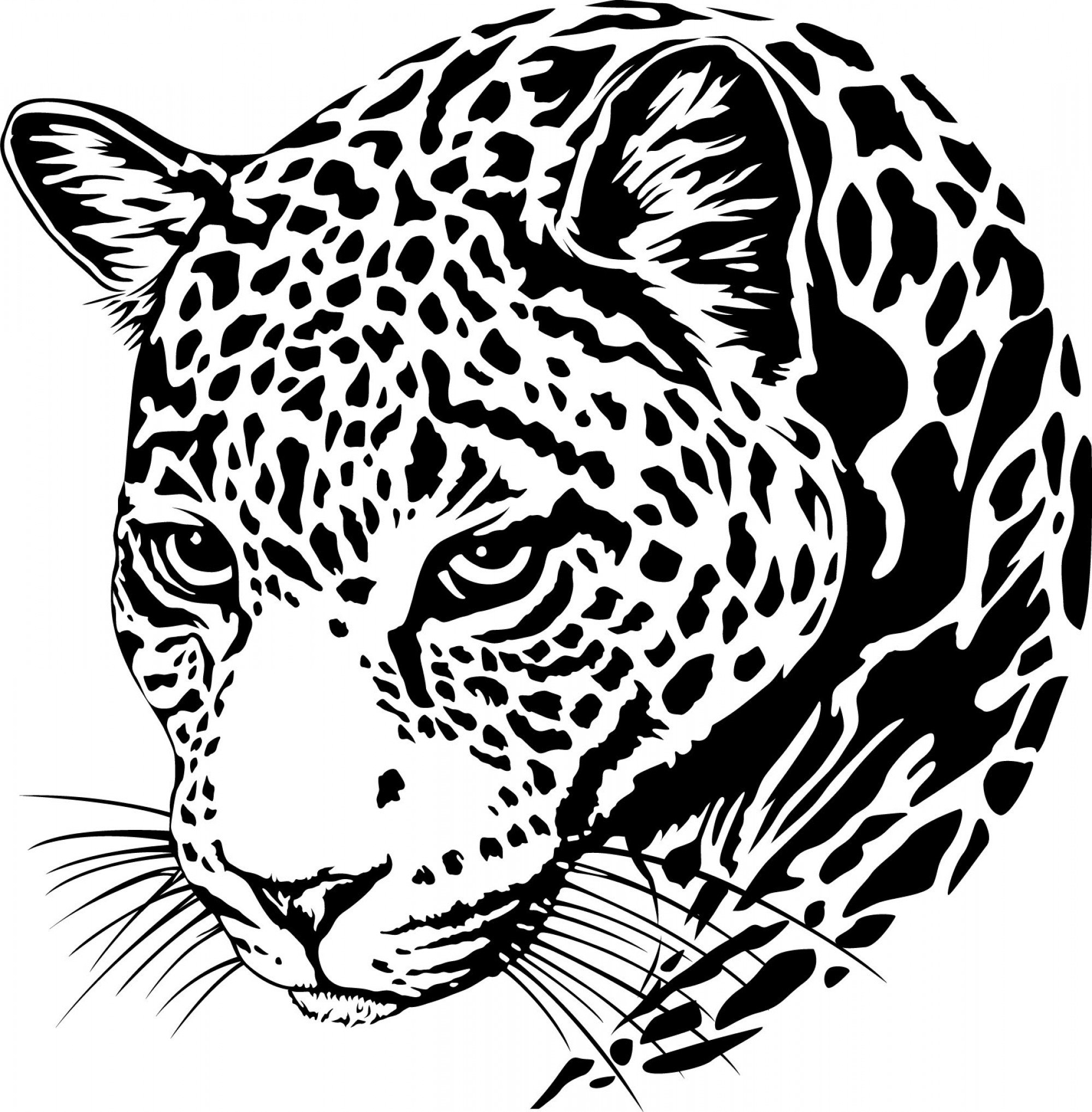 Jaguar clipart vector, Jaguar vector Transparent FREE for download on
