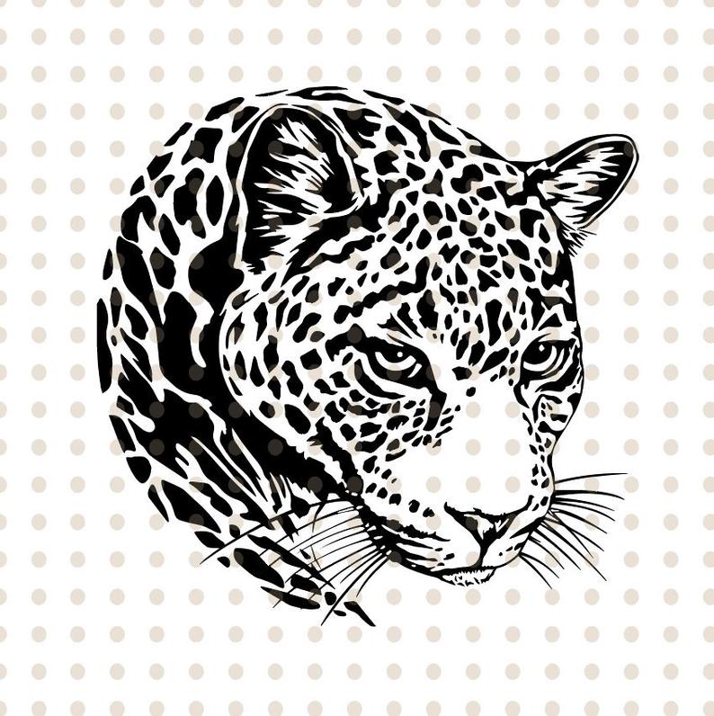 jaguar clipart vector