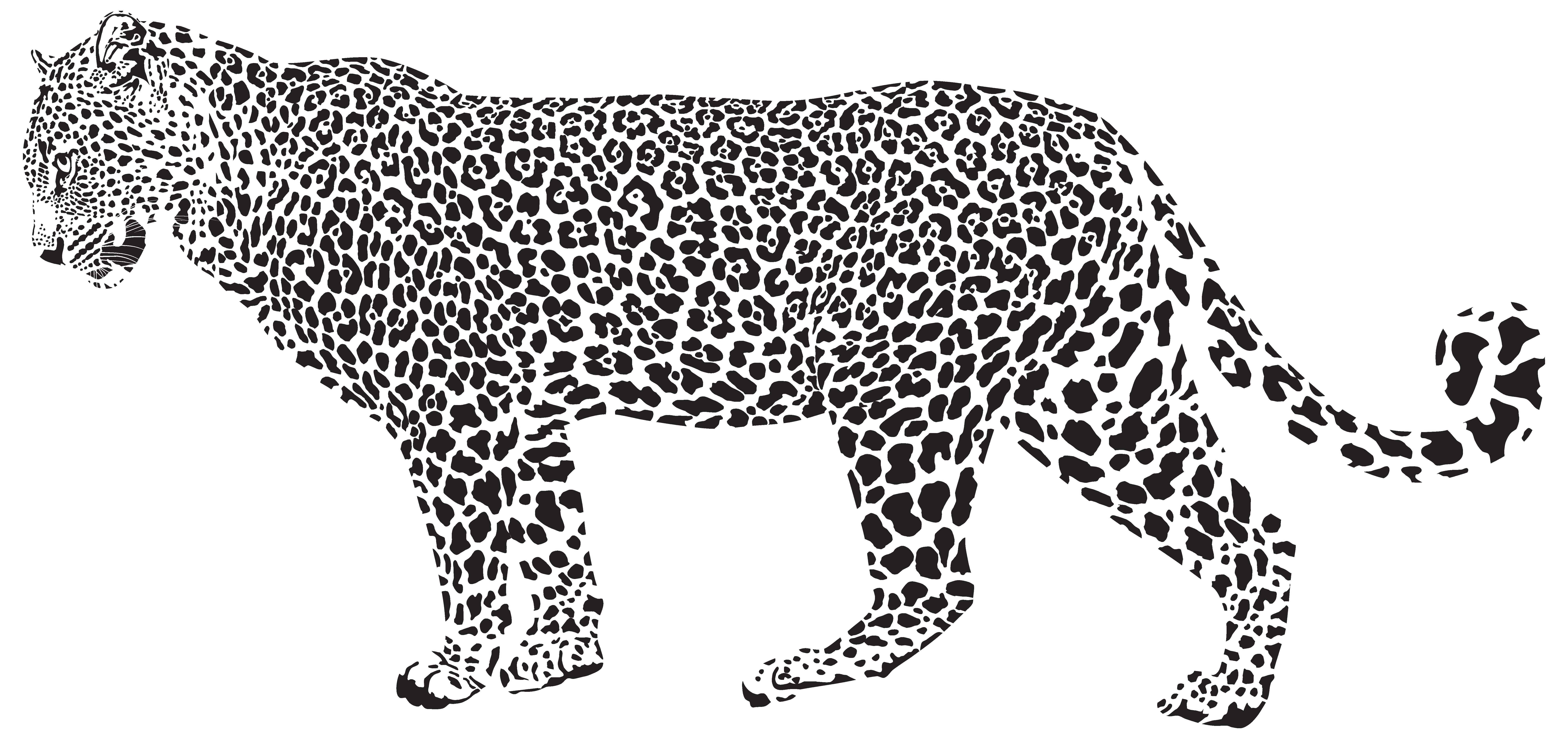 jaguar clipart wild animal
