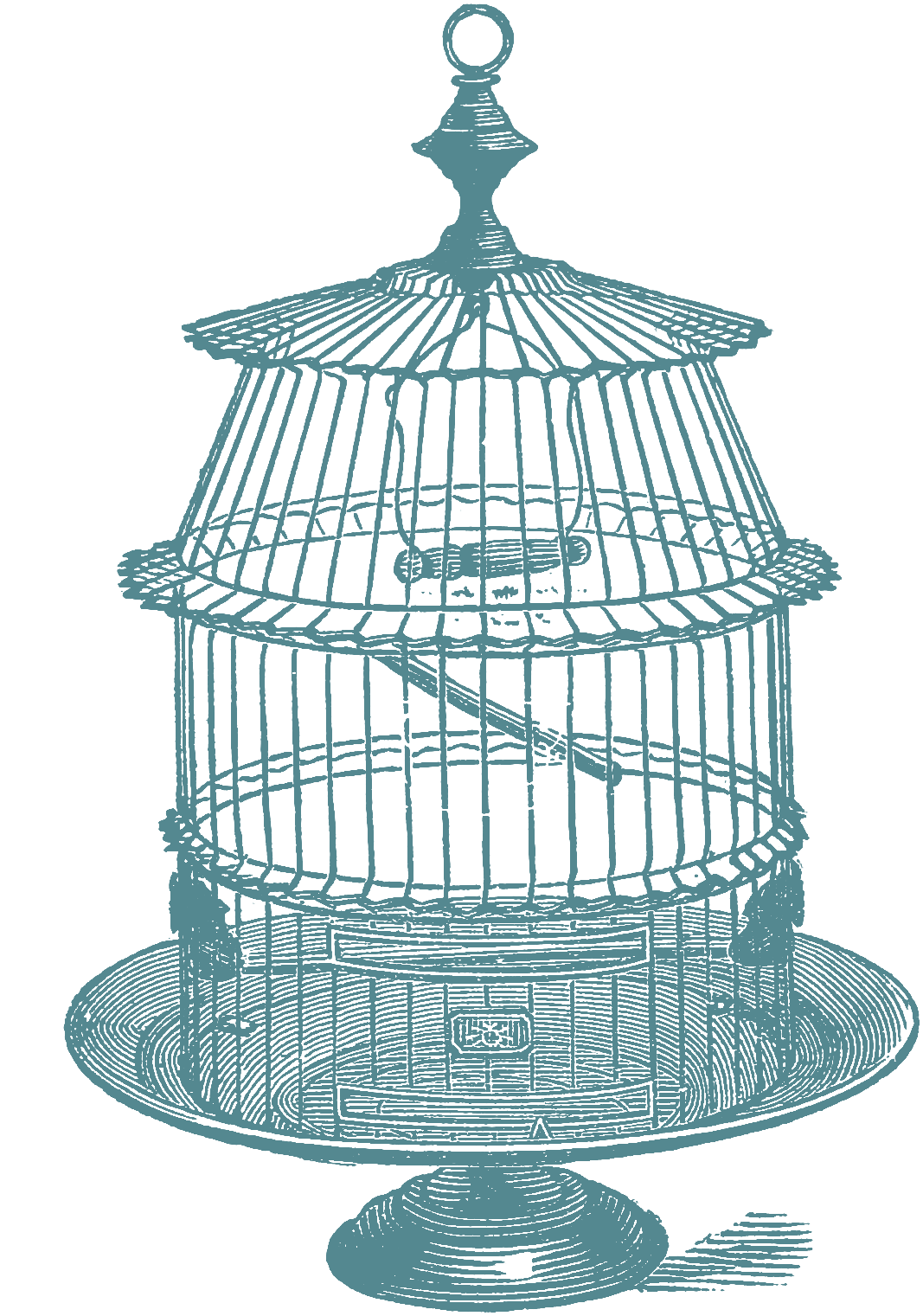 parrot clipart cage clipart