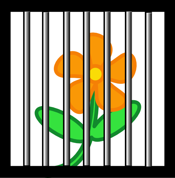Jail clipart public domain. Flower behind bars clip