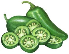 Cut half pepper with. Jalapeno clipart