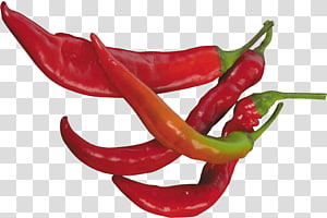 jalapeno clipart cayenne pepper