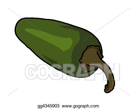 Jalapeno clipart green vegetable. Drawings pepper illustration stock