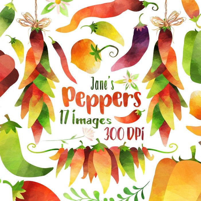 jalapeno clipart spice