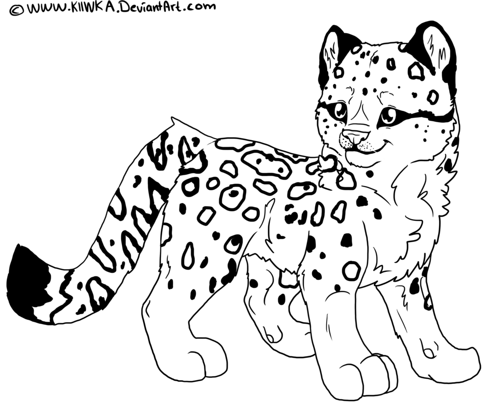 leopard clipart snow leopard