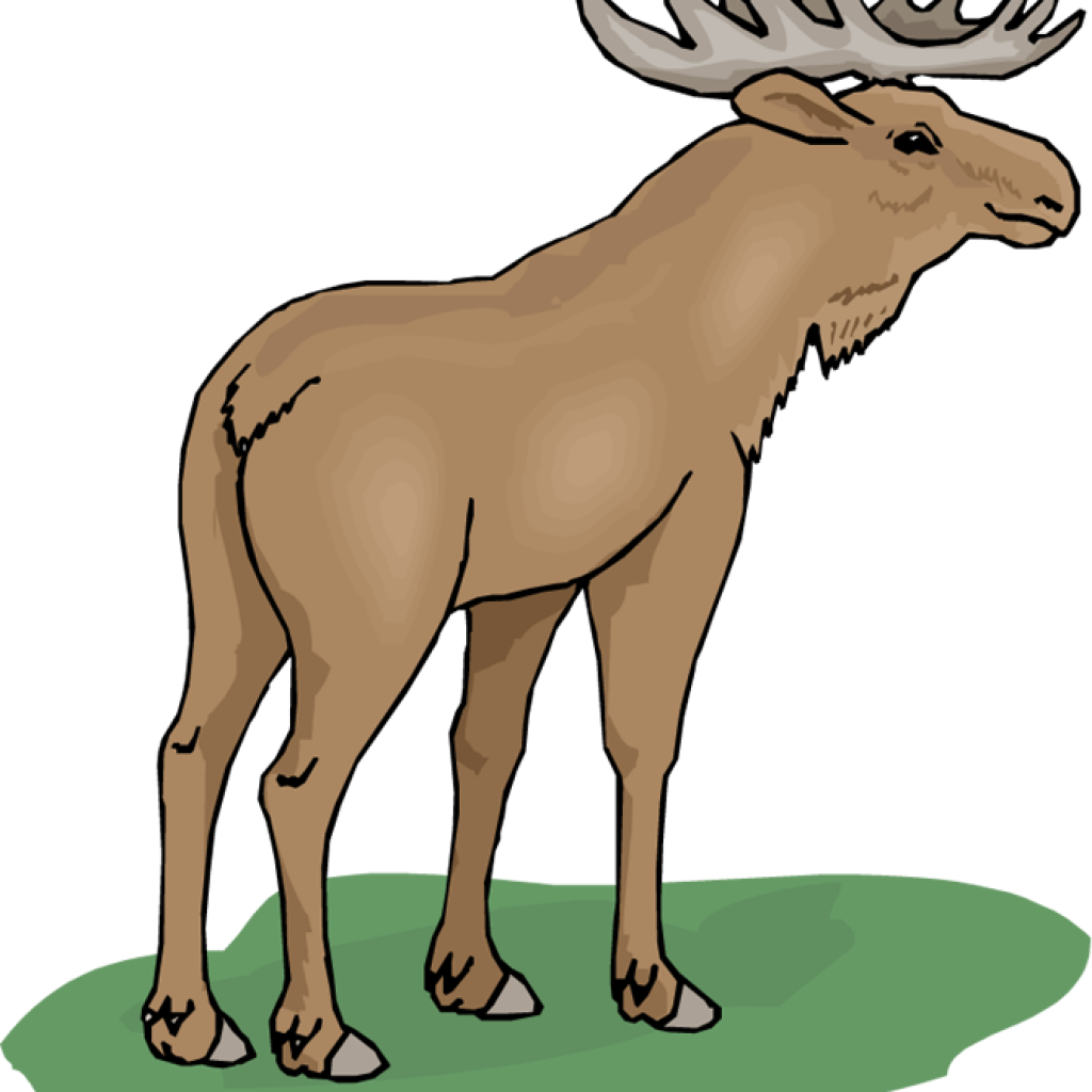 january clipart moose