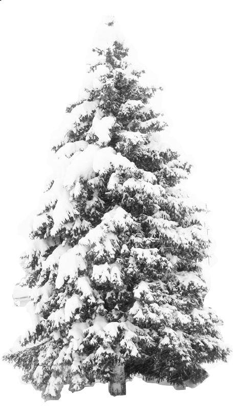 january clipart snowtree