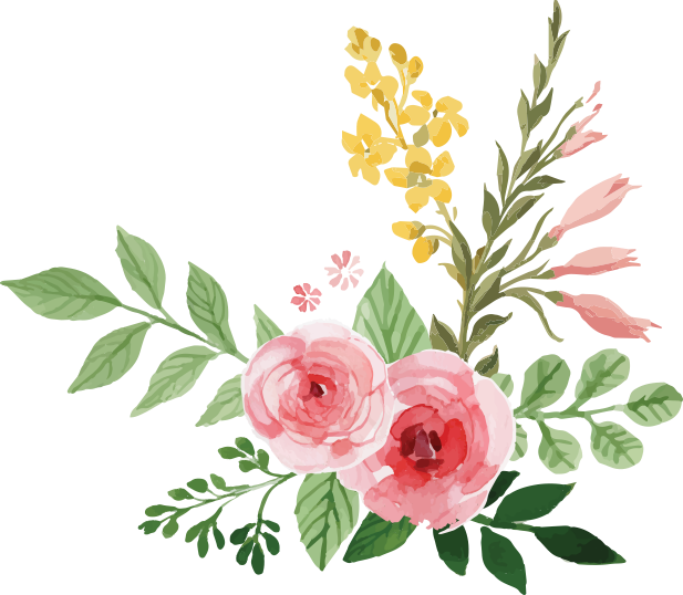 peony clipart handpainted