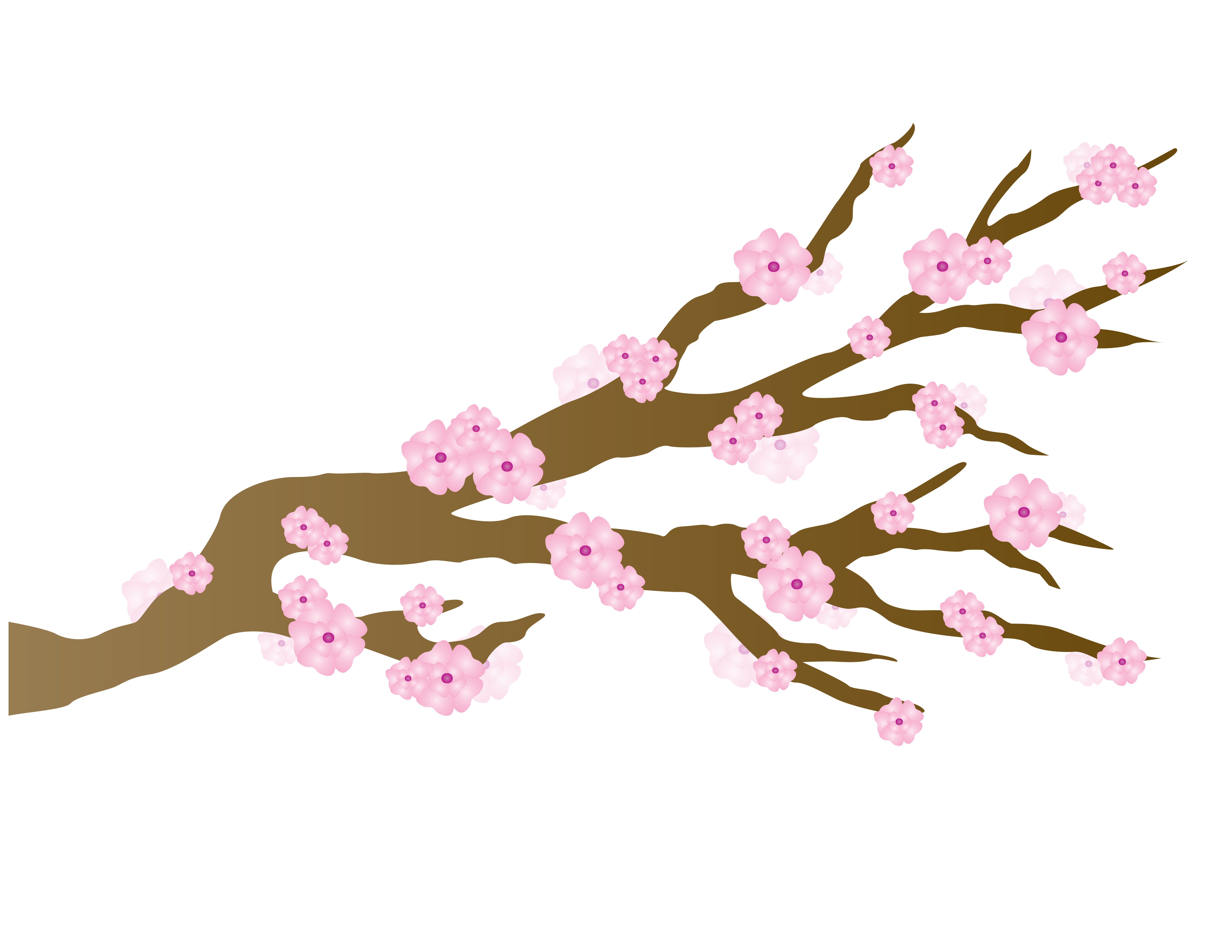japan clipart japan cherry blossom