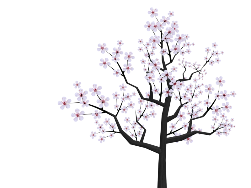 japanese clipart apricot blossom