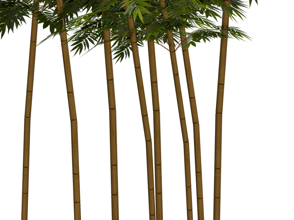 japanese clipart bamboo